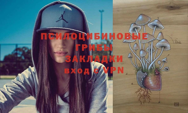 а пвп мука Армянск
