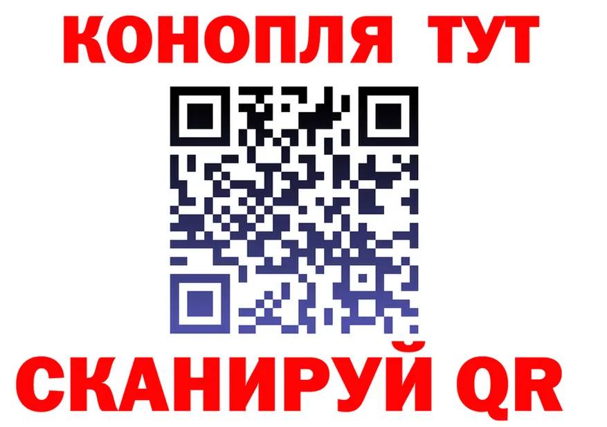 Alfa_PVP СК КРИС вход площадка МЕГА Кукмор