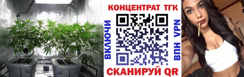 гидра ONION  Кукмор  Дистиллят ТГК THC oil 