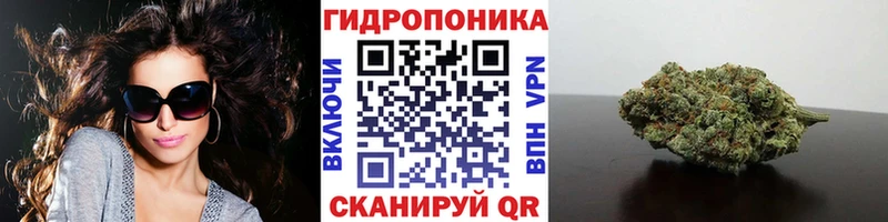 Конопля MAZAR  Кукмор 